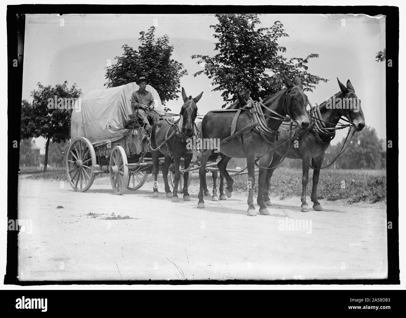 U.S. Army mule team & wagon Stock Photo