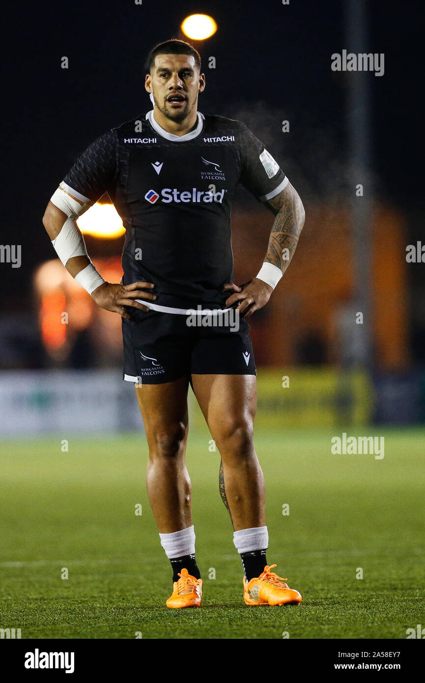 Newcastle, UK. 15th Sep, 2019. NEWCASTLE UPON TYNE, ENGLAND OCTOBER 18TH Josh Matavesi of Newcastle Falcons during the Greene King IPA Championship match between Newcastle Falcons and Hartpury College at Kingston Park, Newcastle on Friday 18th October 2019. (Credit: Chris Lishman | MI News) Editorial Use Only Credit: MI News & Sport /Alamy Live News Stock Photo