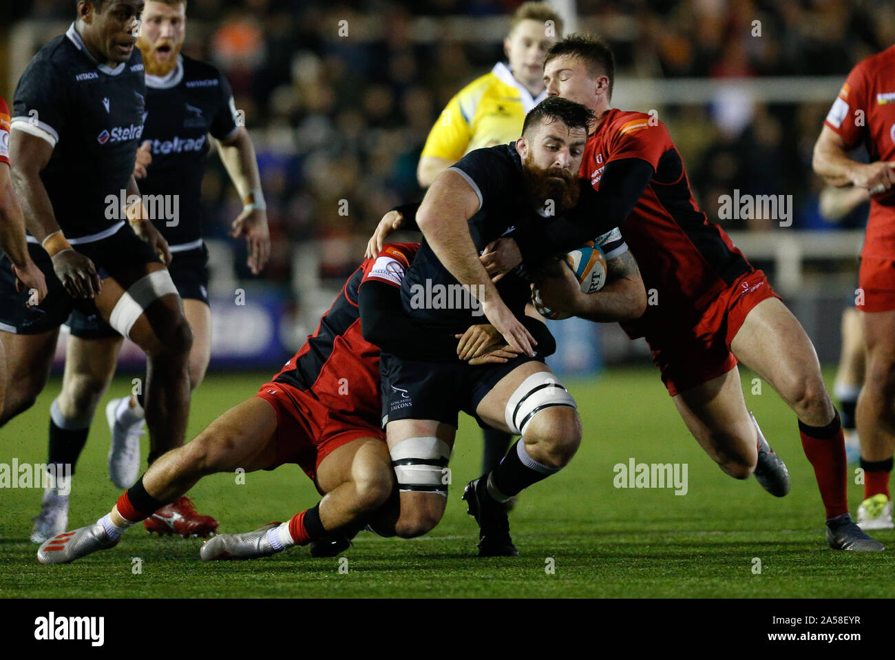 Newcastle, UK. 15th Sep, 2019. NEWCASTLE UPON TYNE, ENGLAND OCTOBER 18TH Gary Graham of Newcastle Falcons is tackled during the Greene King IPA Championship match between Newcastle Falcons and Hartpury College at Kingston Park, Newcastle on Friday 18th October 2019. (Credit: Chris Lishman | MI News) Editorial Use Only Credit: MI News & Sport /Alamy Live News Stock Photo