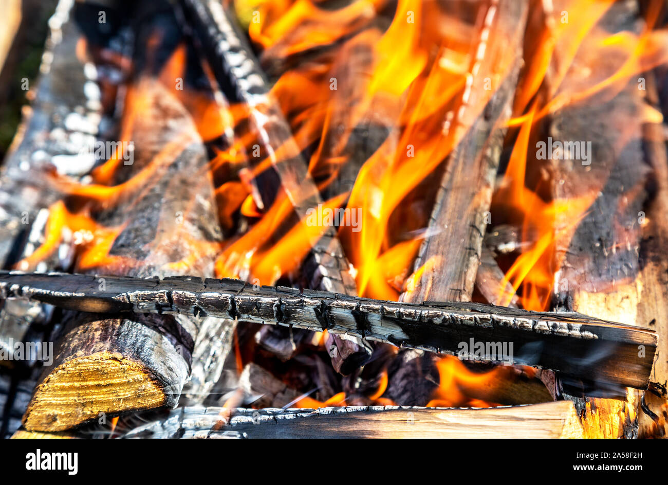 Campfire with burning wood outdoors, close up Stock Photo