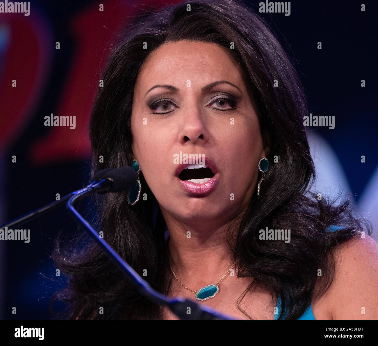 Washington, United States Of America. 12th Oct, 2019. Brigitte Gabriel, Founder and President of the anti-Islam group Act for America, speaks at the Values Voter Summit, a conference of Christian religious and social conservatives at the Omni Shoreham Hotel in Washington, DC on Saturday, October 12, 2019. The Values Voter Summit is produced and hosted by FRC Action, the political arm of the Family Research Council. (Photo by Jeff Malet) Photo via Credit: Newscom/Alamy Live News Stock Photo