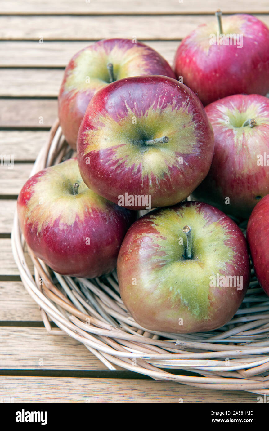 Bloody ploughman apple hires stock photography and images Alamy