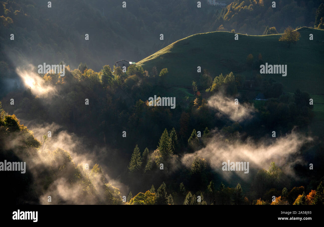 Beyond the forest poster hi-res stock photography and images - Alamy
