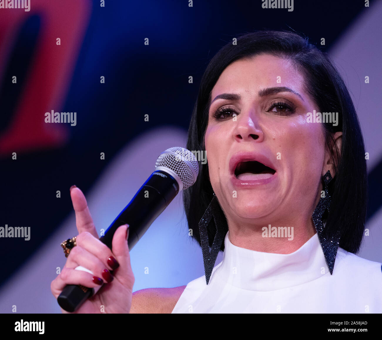 Washington, United States Of America. 12th Oct, 2019. Dana Loesch, best ...