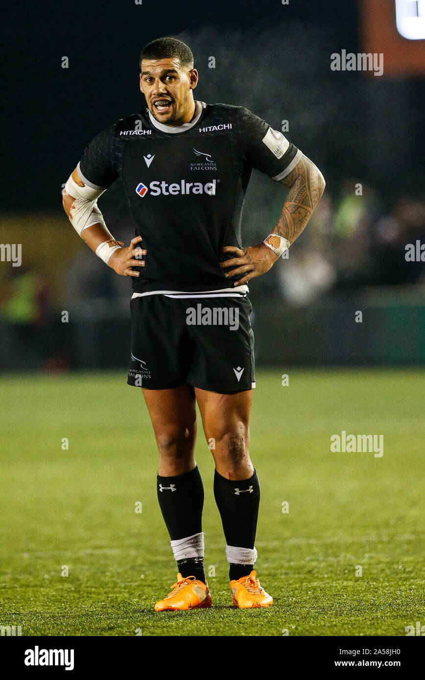 Newcastle, UK. 15th Sep, 2019. NEWCASTLE UPON TYNE, ENGLAND OCTOBER 18TH Josh Matavesi of Newcastle Falcons during the Greene King IPA Championship match between Newcastle Falcons and Hartpury College at Kingston Park, Newcastle on Friday 18th October 2019. (Credit: Chris Lishman | MI News) Editorial Use Only Credit: MI News & Sport /Alamy Live News Stock Photo