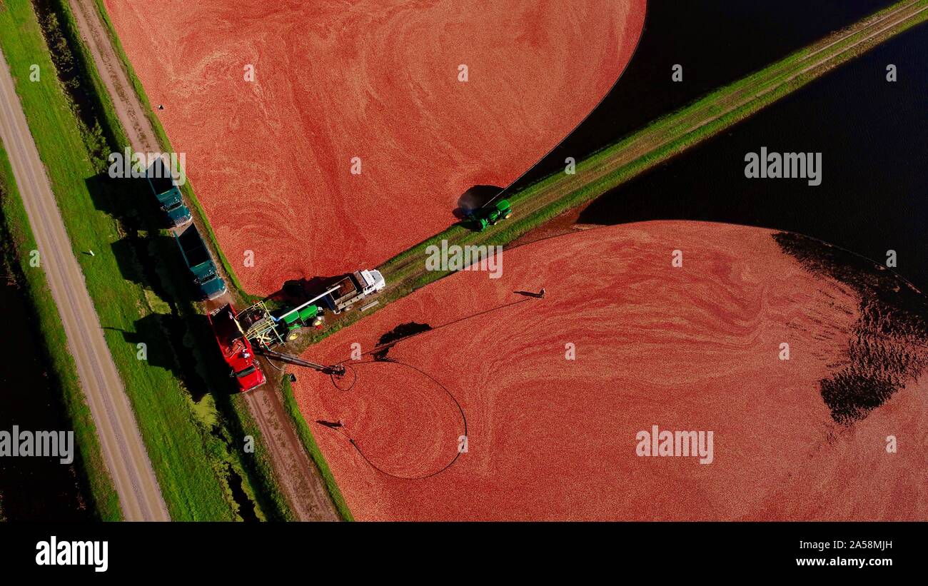 Cranberry bog aerial hires stock photography and images Alamy