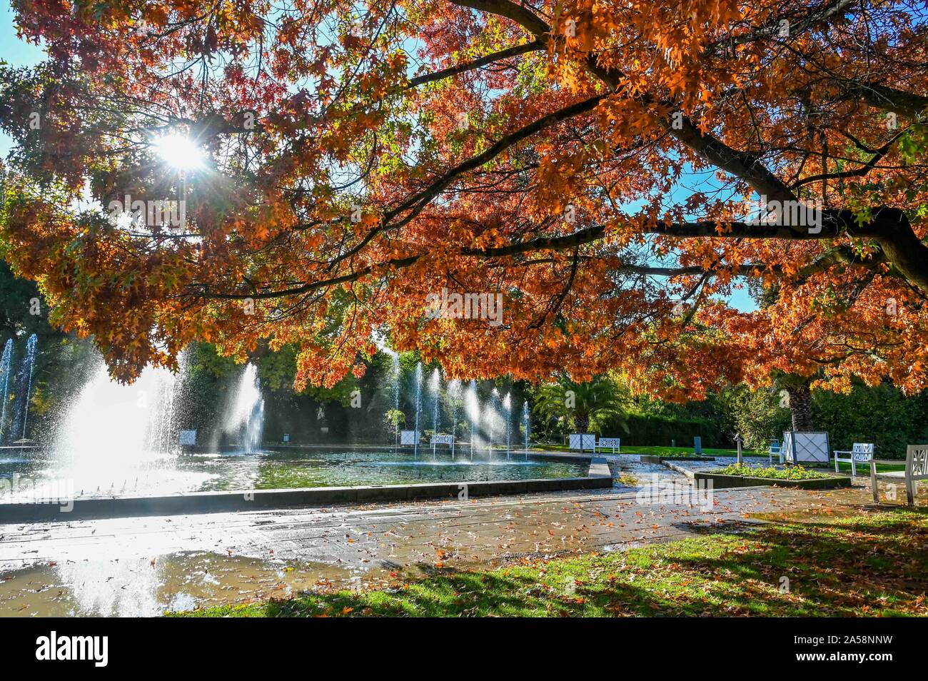 Frankfurt Palmengarten Stock Photos Frankfurt Palmengarten Stock