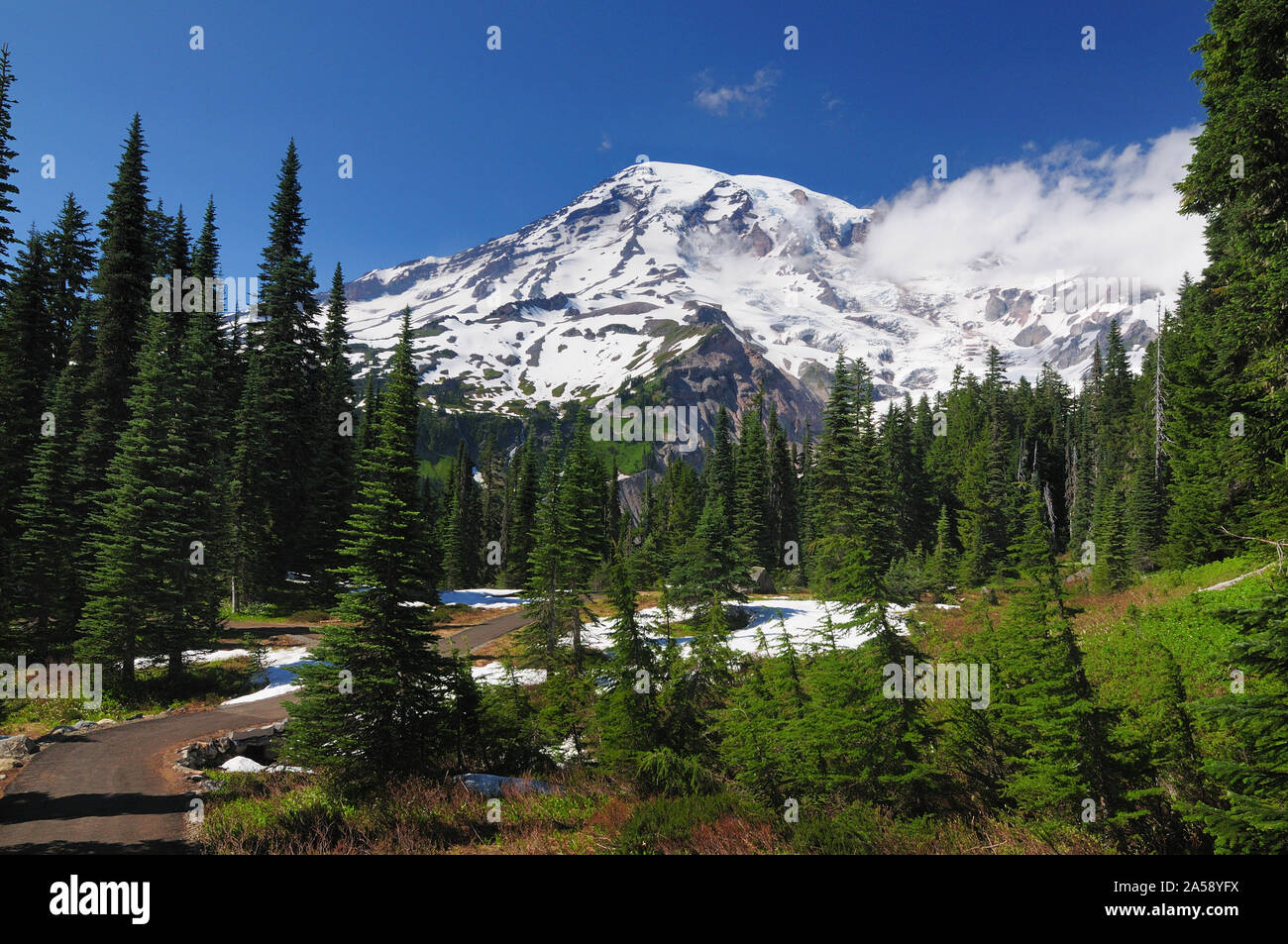 Snow Peak Of Mount Rainier Washington USA Stock Photo - Alamy