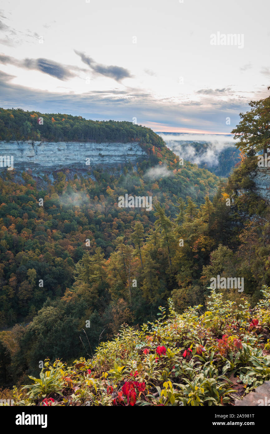 covered in fall foliage near Archery Field at sunrise creates a majestic scene at