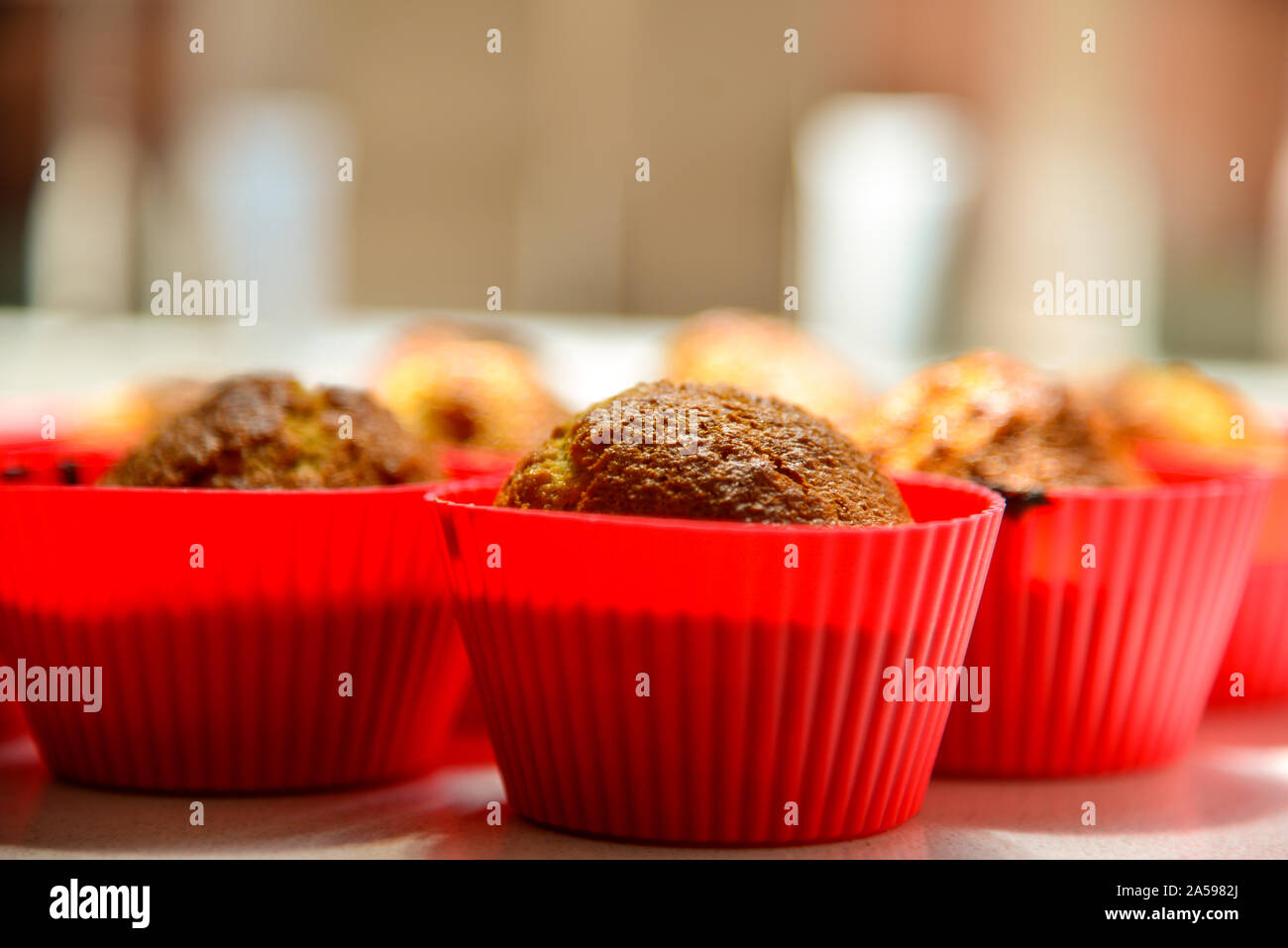 Freshly baked cupcakes in red silicone cups in kitchen sunlight Stock Photo