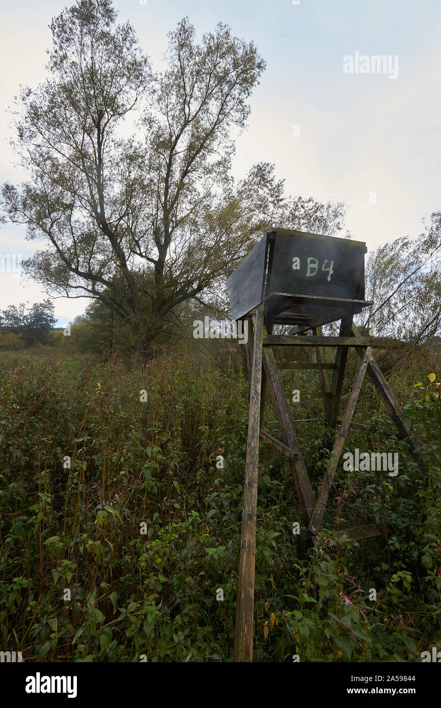 18 October 2019, Rhineland-Palatinate, Kümbdchen: A high seat stands on a clearing at the edge of a forest. Hunters in Rhineland-Palatinate occasionally complain about deliberate damage to high seats. These range from simple vandalism, i.e. graffiti, dirt, slight damage, to serious damage such as sawing up ladders and supports and complete destruction by demolition or arson. Photo: Thomas Frey/dpa Stock Photo