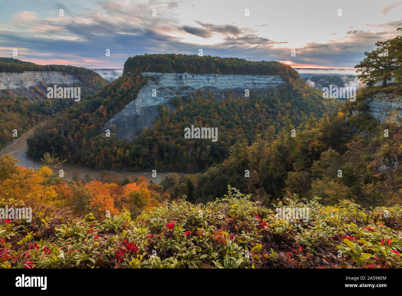 covered in fall foliage near Archery Field at sunrise creates a