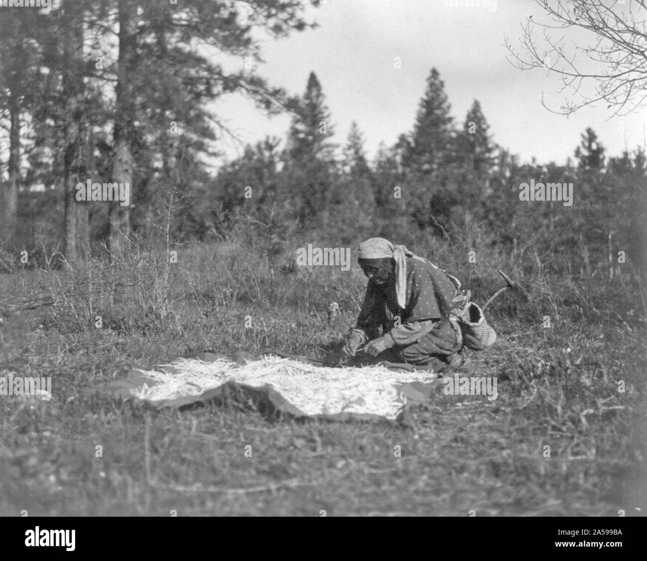 Edward S. Curits Native American Indians - Woman kneeling on ground, blanket spread out and covered with roots ca. 1909 or 1910 Stock Photo