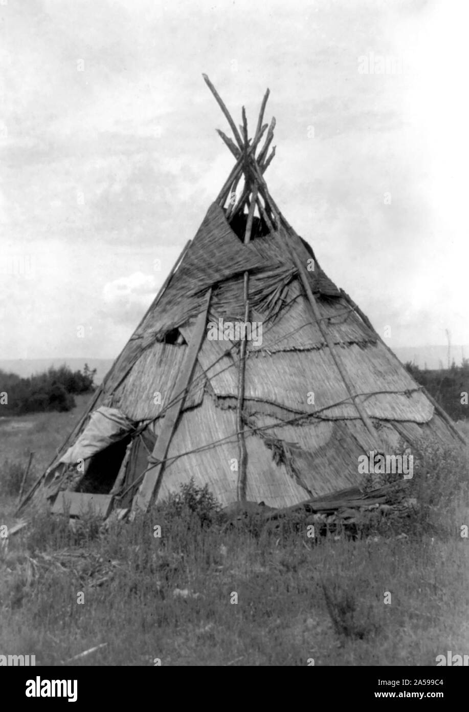 Edward S. Curits Native American Indians - Photograph shows reed mat covered tepee in grassy field, Washington ca. 1910 Stock Photo