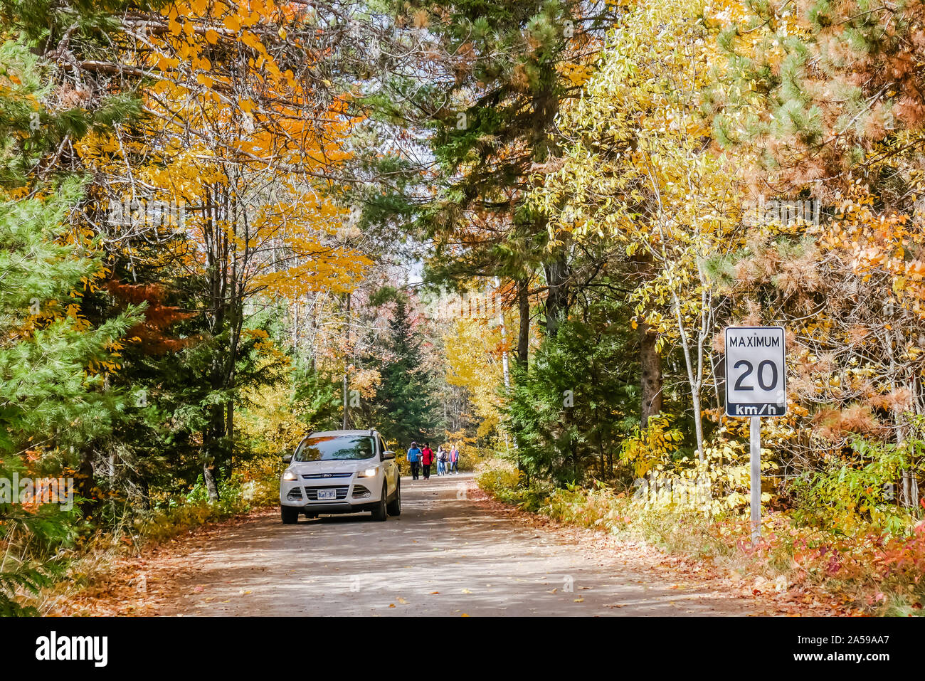 Canada Speed Limit km Per Hour In A National Park Stock Photo Alamy Canada Speed Limit km Per Hour In A National Park Stock Photo Alamy