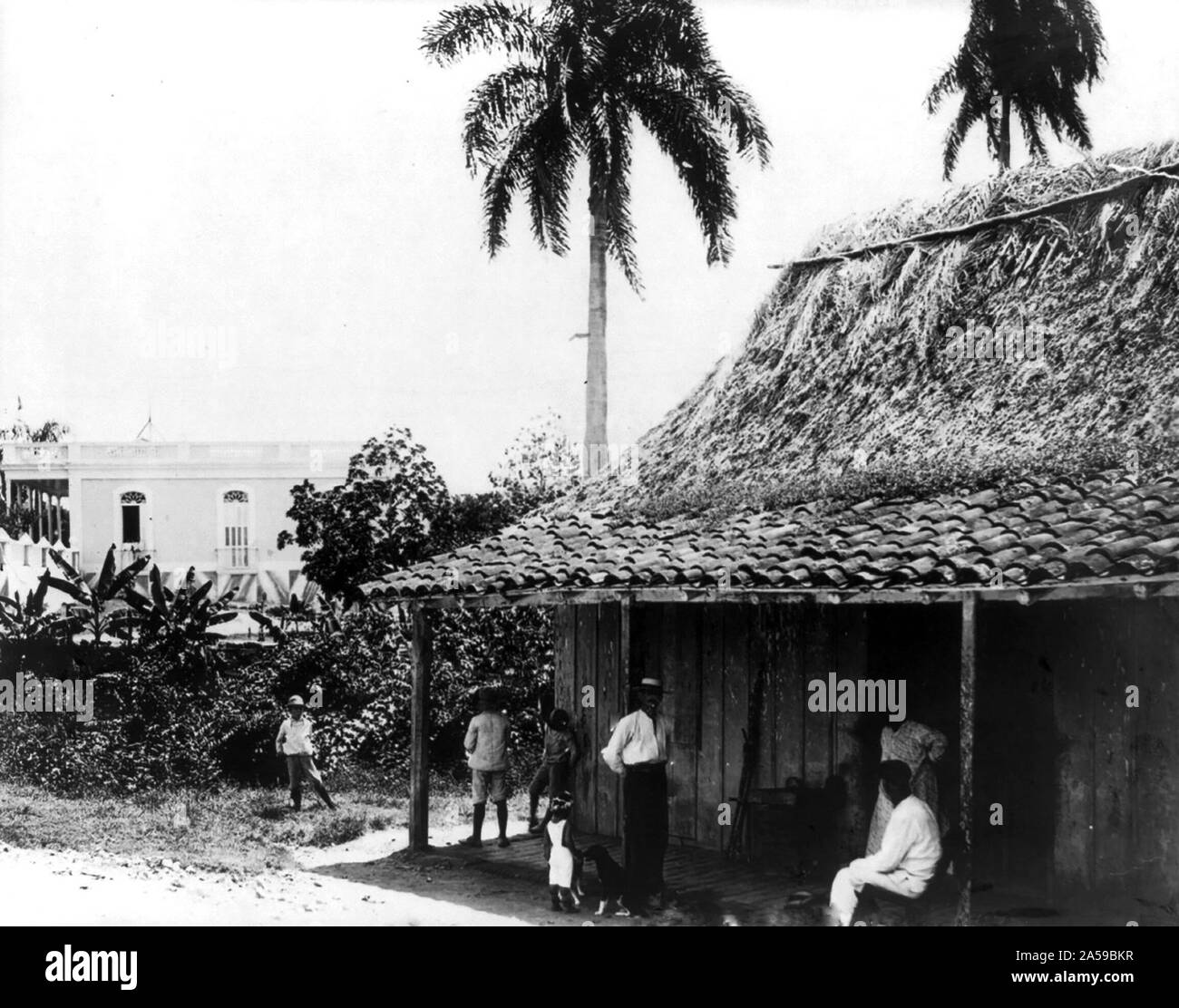 A country store, Cuba 18951920 Stock Photo Alamy