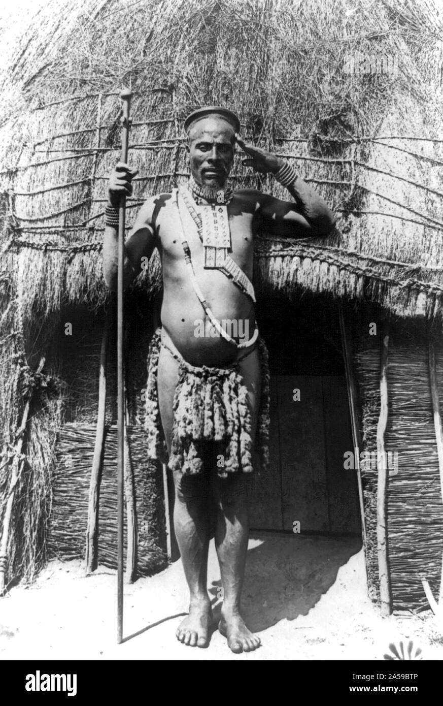 Zulu chief, South Africa 1880-1905 Stock Photo