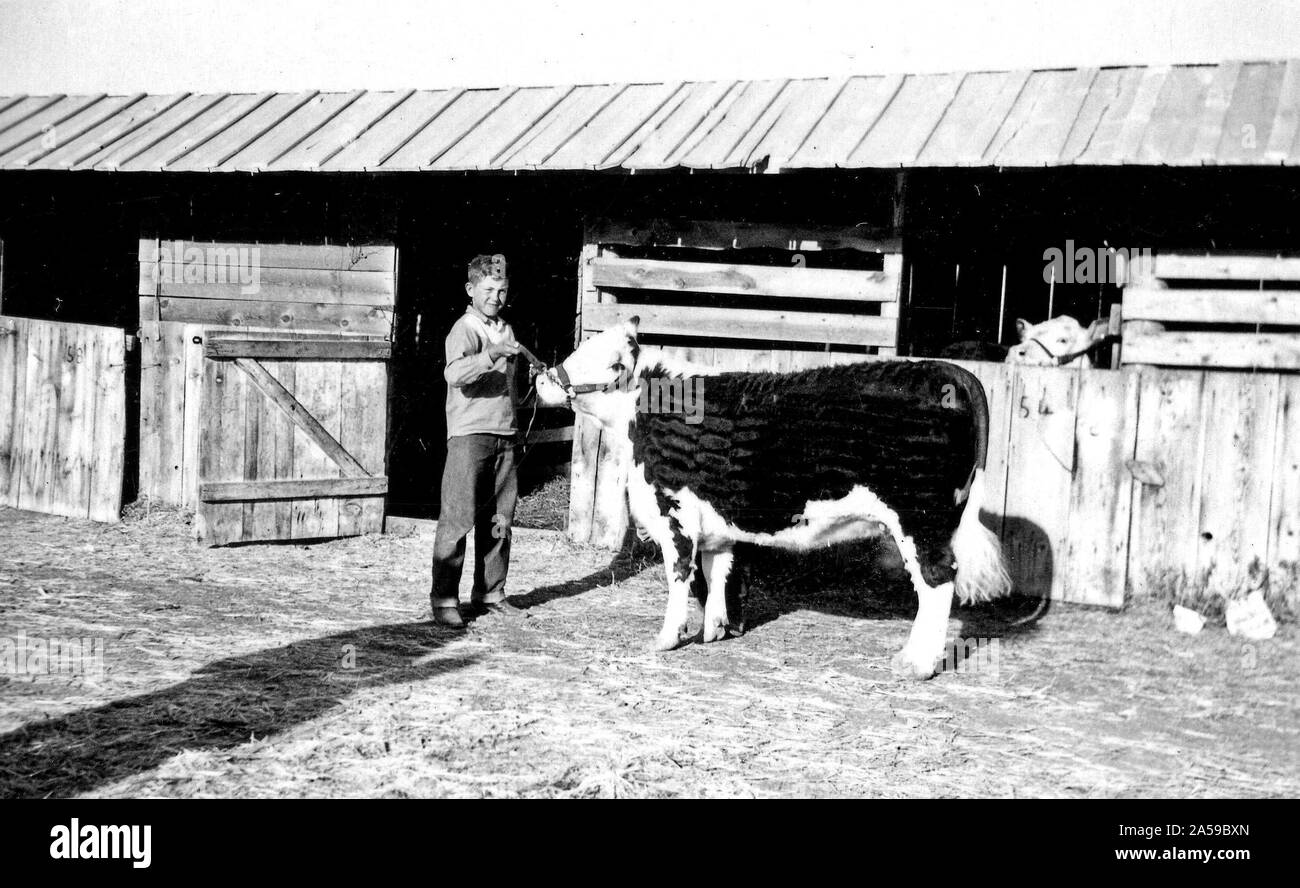 1940s cattle ranch hi-res stock photography and images - Alamy