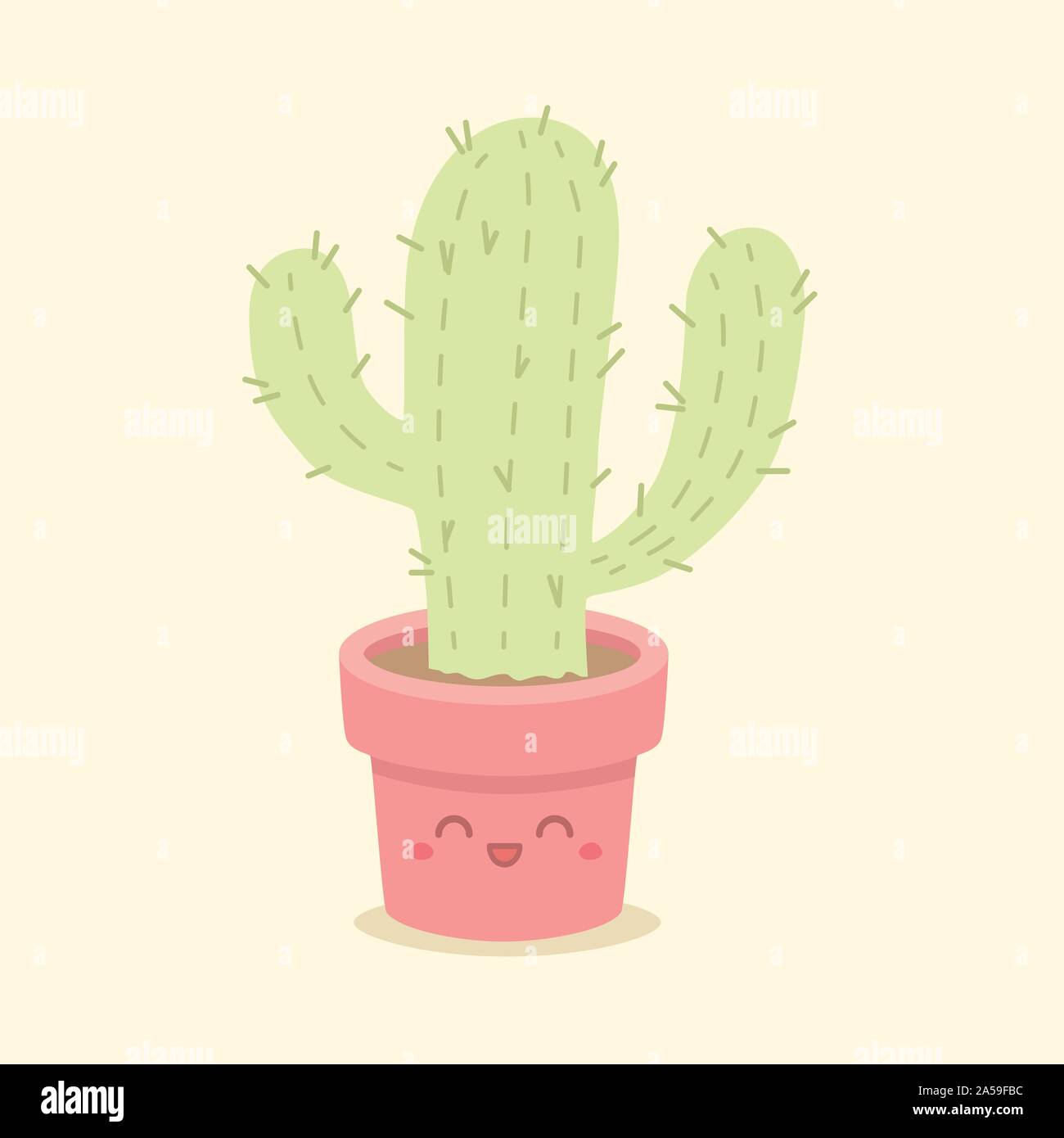 living stone cactus Lithops spp main image 0