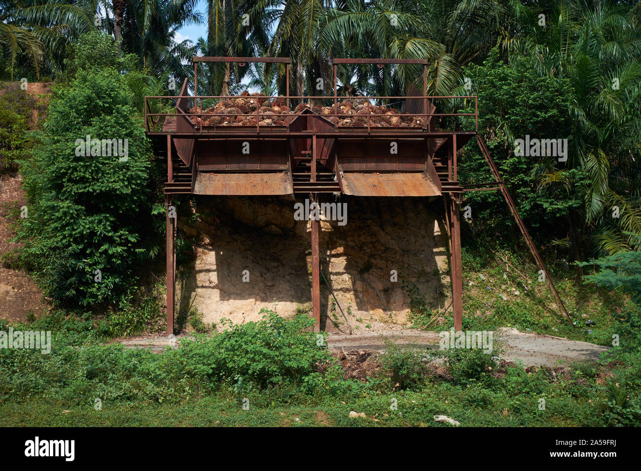 A metal hopper used for loading transport trucks with oil palm tree
