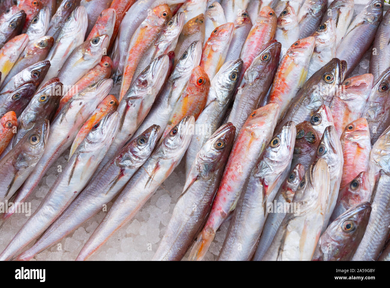 Medterranean fish exposed at open seamarket, Naples Stock Photo