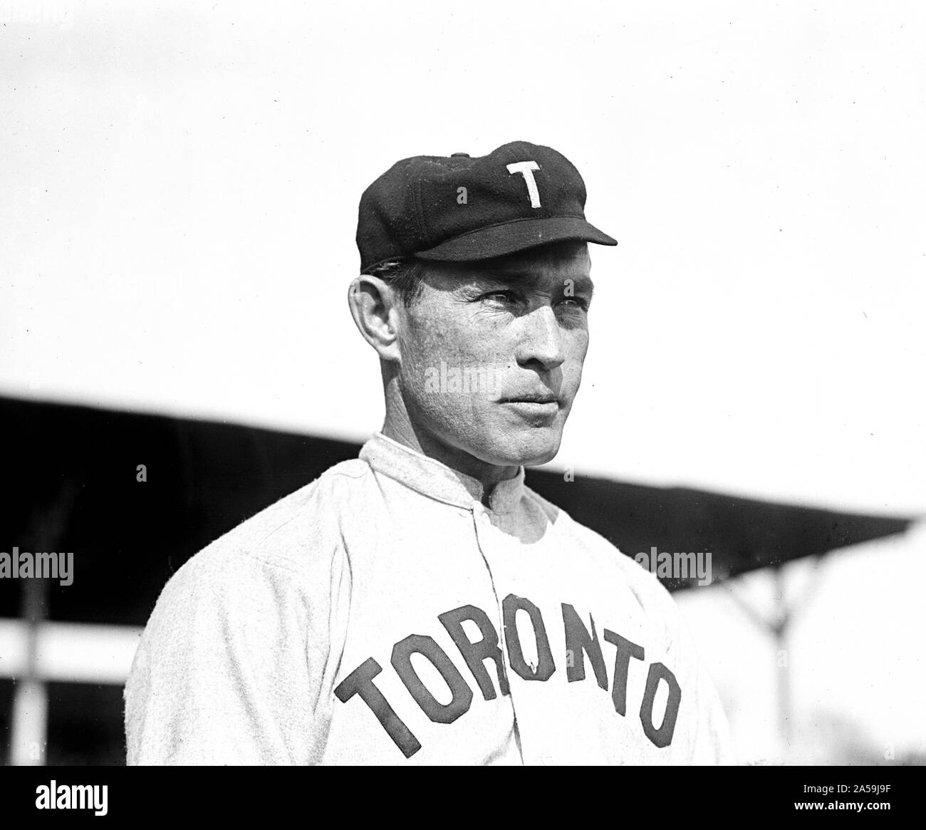 The original Maple Leafs: Pro-baseball in Toronto before the Blue Jays