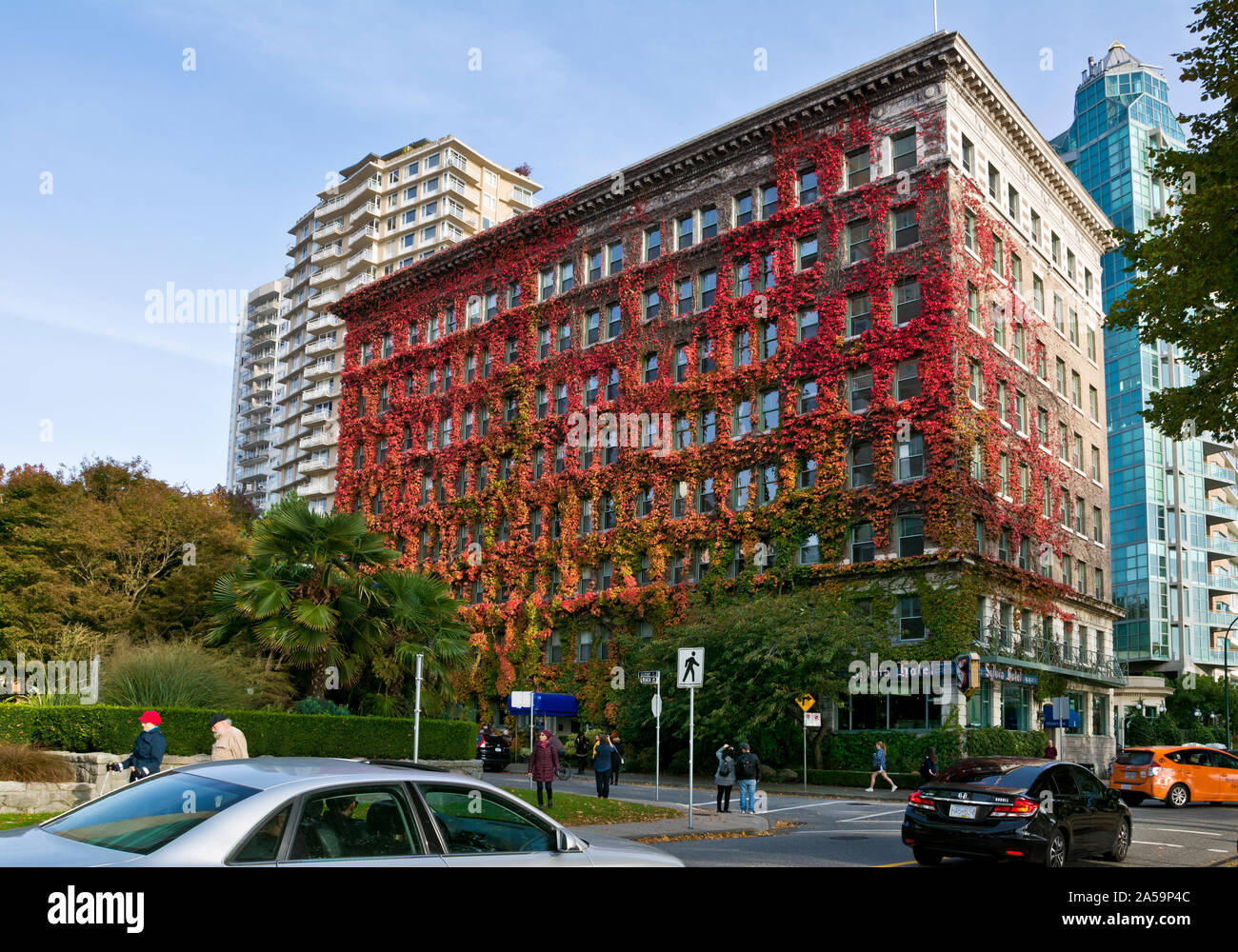 Historic Sylvia hotel covered in red foliage in the West End of Vancouver, BC, Canada in the Autumn.  Vancouver Canada in the Fall. Stock Photo