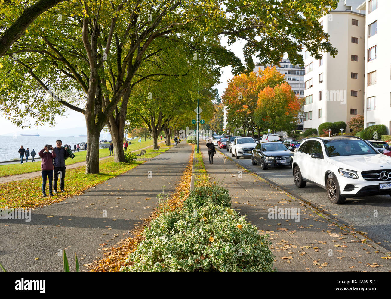 Beach Avenue in the West End of Vancouver in the Fall 2019.  People enjoying an Autumn afternoon by English Bay near Stanley Park. Stock Photo