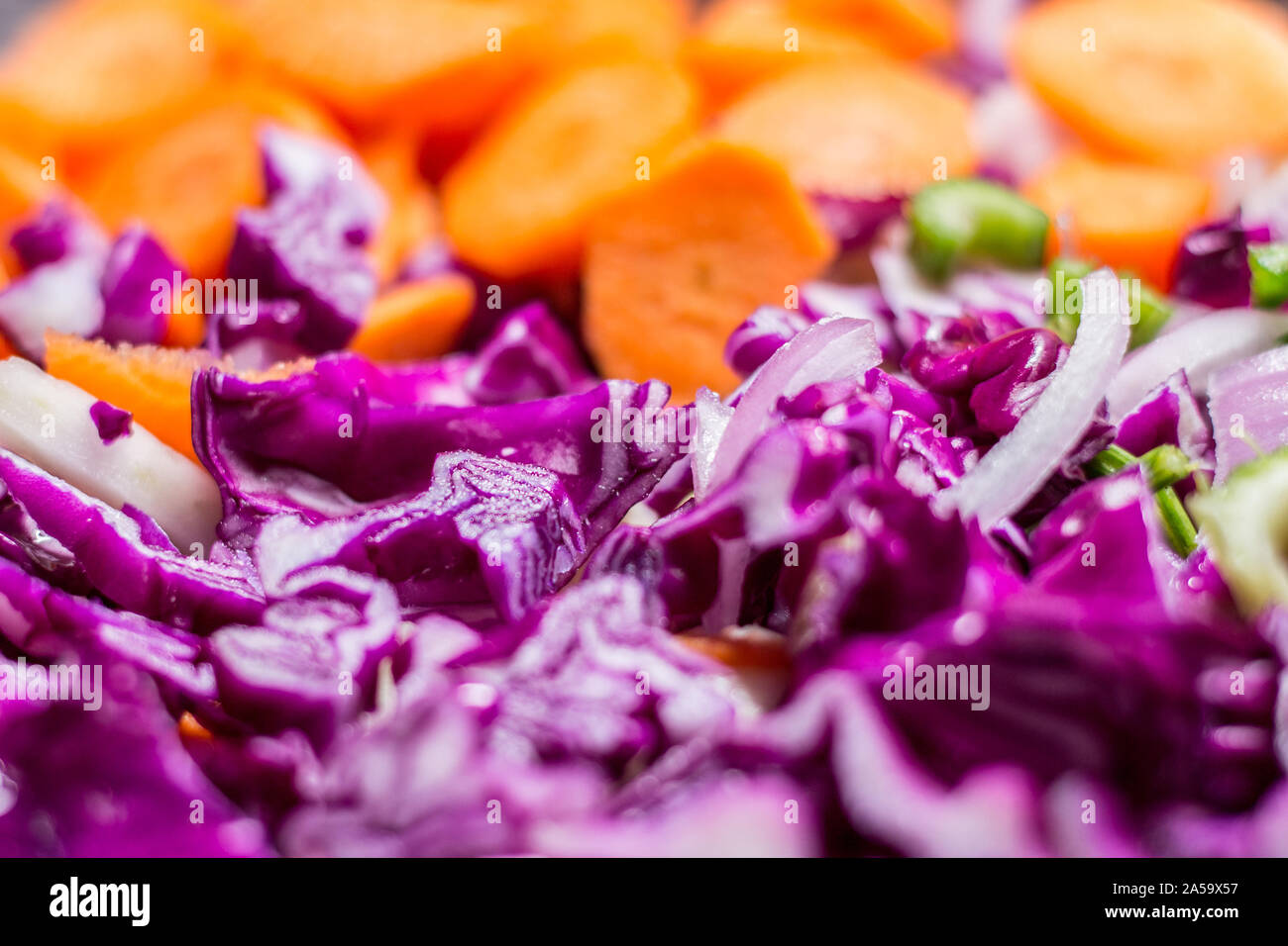 Red cabbage, celery, fennel and carrot salad Stock Photo