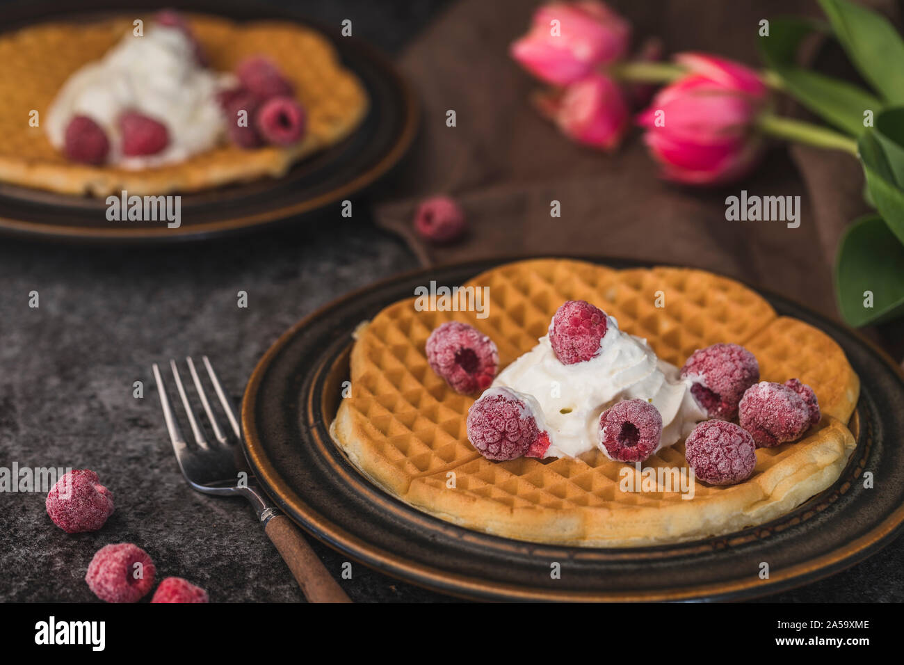 Homemade waffles with whipped cream and organic raspberries. The waffles are on two brown plates on a dark gray background, and there are some red tul Stock Photo