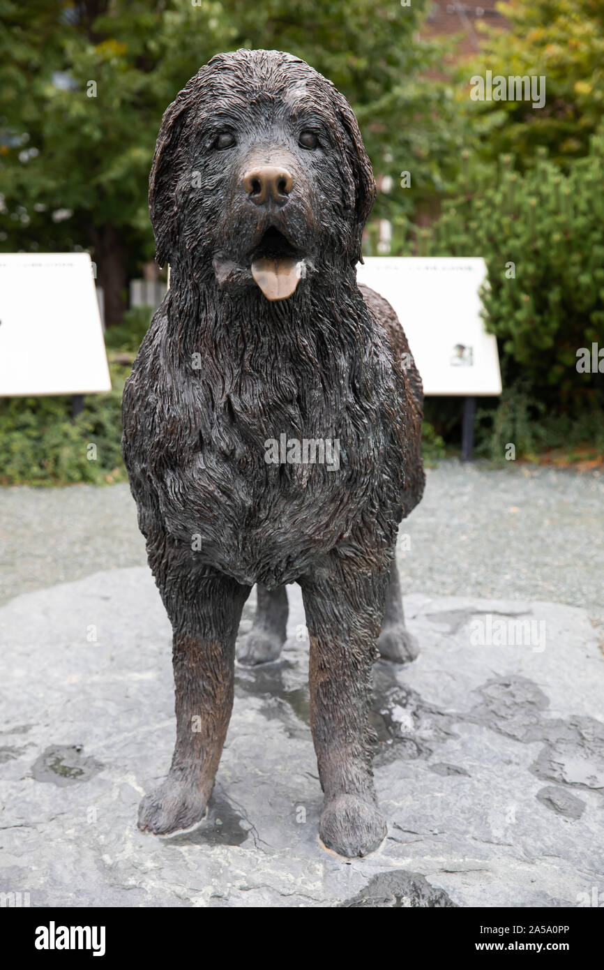 Newfoundland lifesize bronze statue in St John's Newfoundland Stock