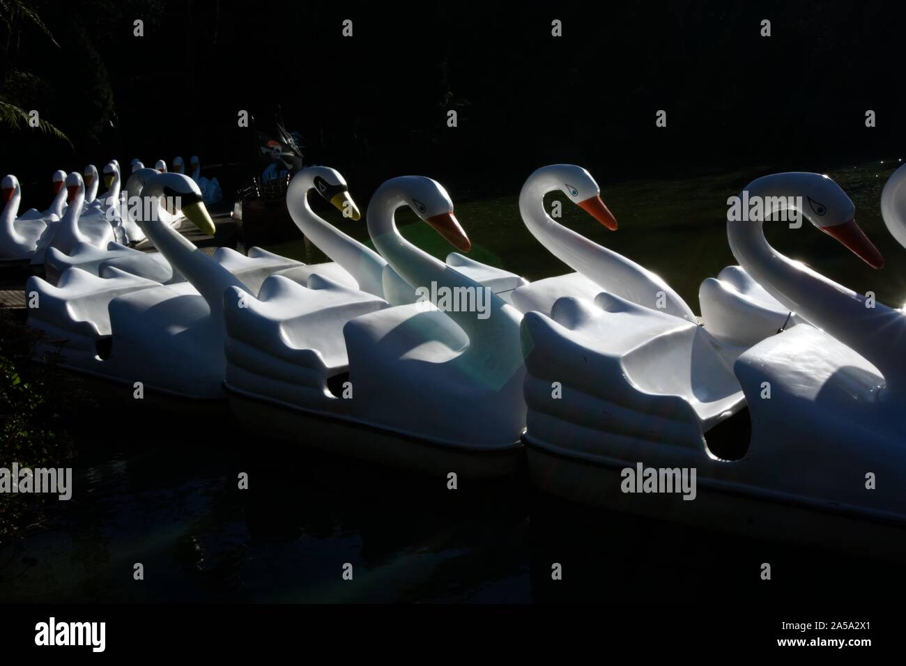 Amusement park rides vector hi-res stock photography and images - Alamy