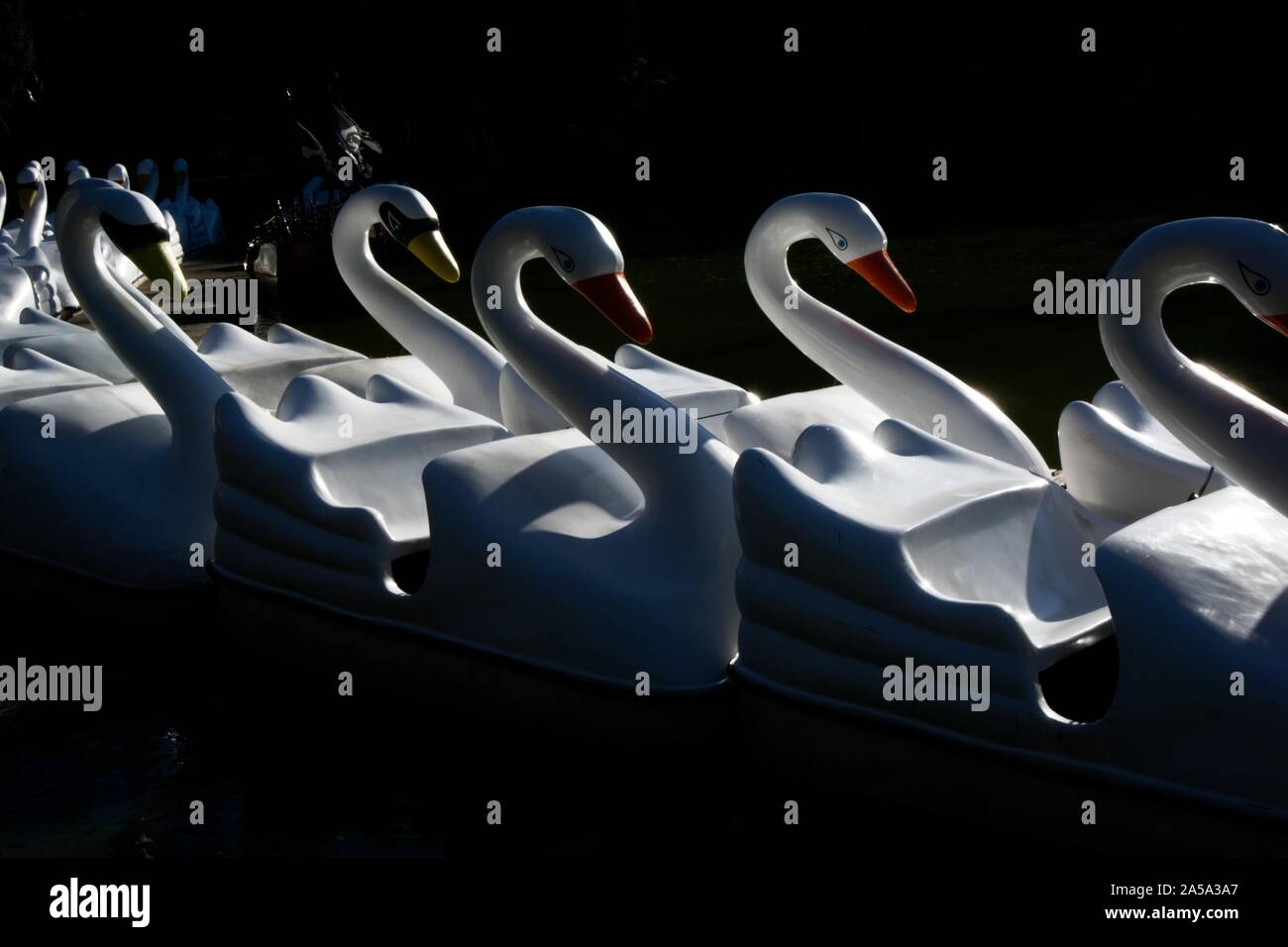 Lineup of swan rides in the lake at a park Stock Photo