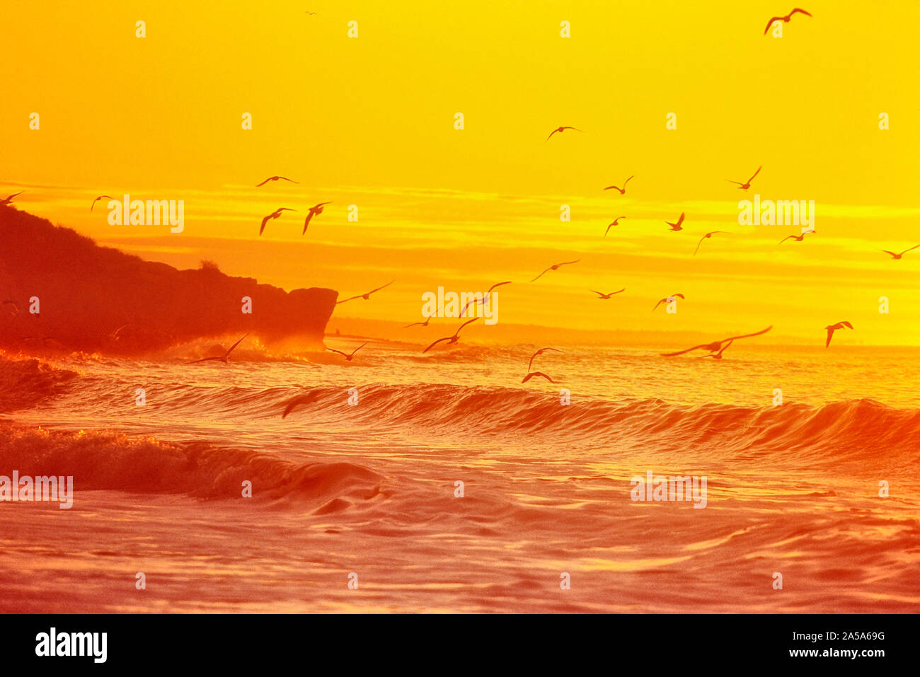 Praia da Oura beach, Algarve, Portugal Stock Photo