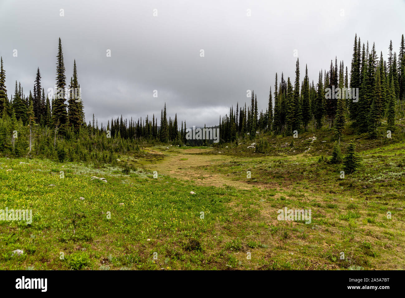 Meadows in the sky Revelstoke Canada Stock Photo