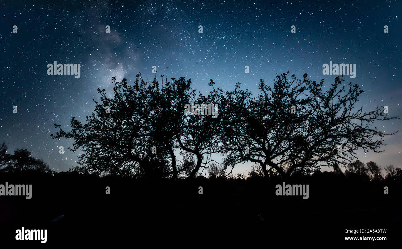 Night starry sky against the background of the Milky Way Stock Photo ...
