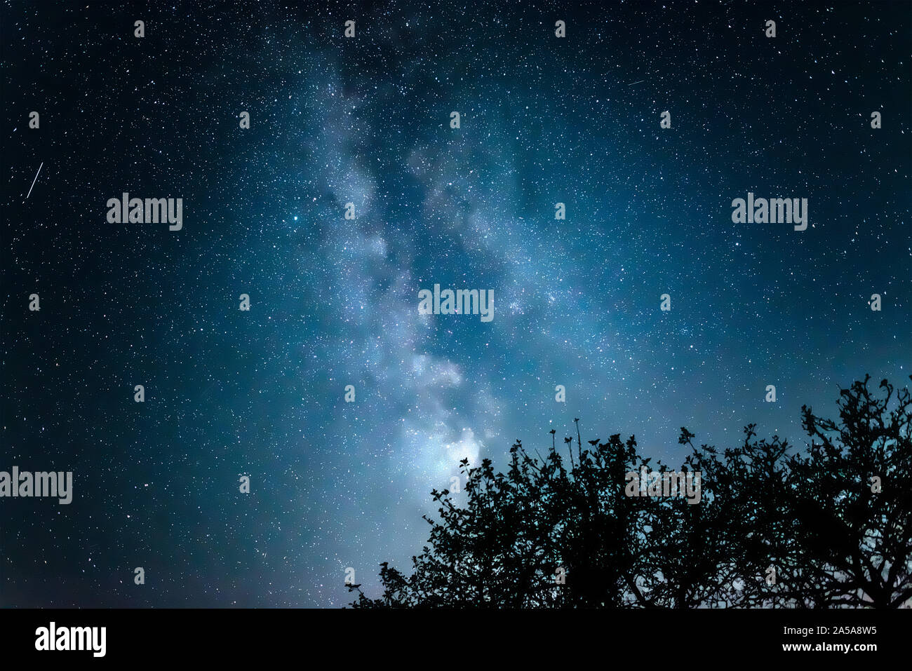 Night starry sky against the background of the Milky Way Stock Photo ...