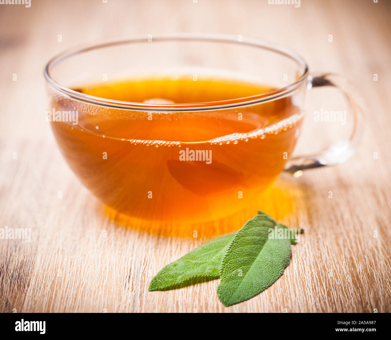 healing plants: Sage (Salvia officinalis) tea with two leaves Stock Photo