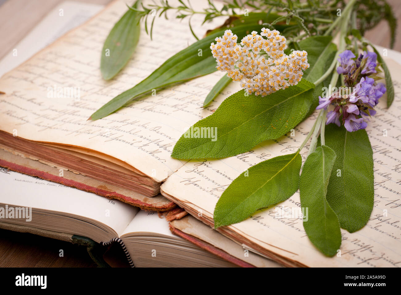 Old books and medicinal plants Stock Photo