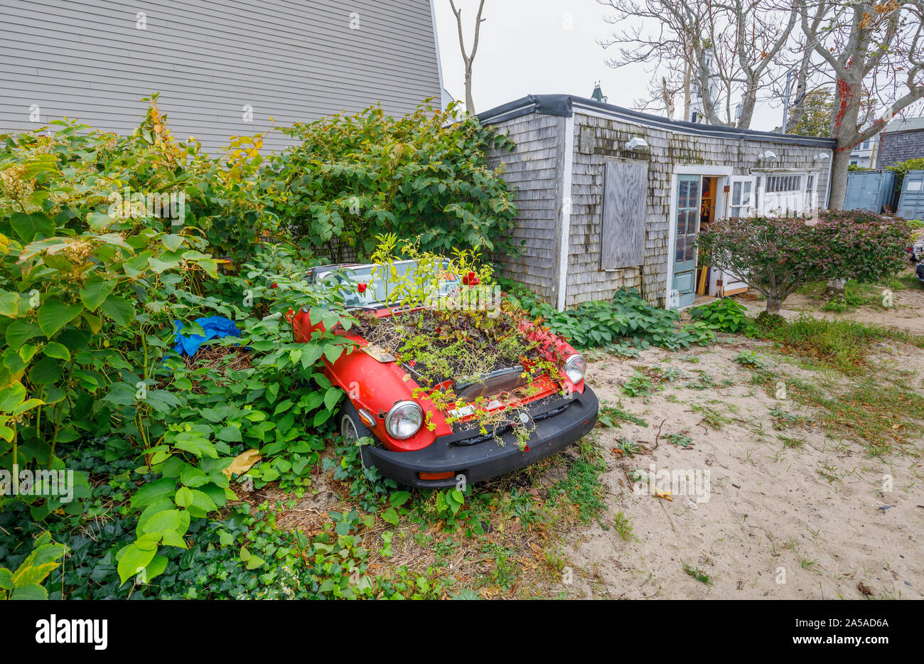 Dilapidated vintage MG car with plants growing from the engine on the beach outside a small art gallery in  Provincetown (P-Town), Cape Cod, MA, USA Stock Photo