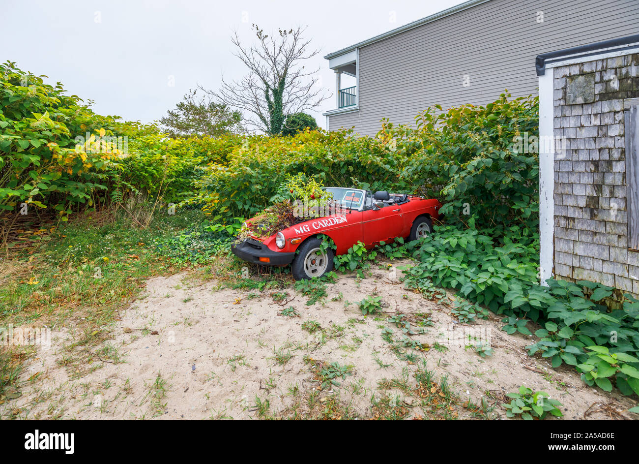 Dilapidated vintage MG car with plants growing from the engine on the beach outside a beach art gallery in Provincetown (P-Town), Cape Cod, MA, USA Stock Photo