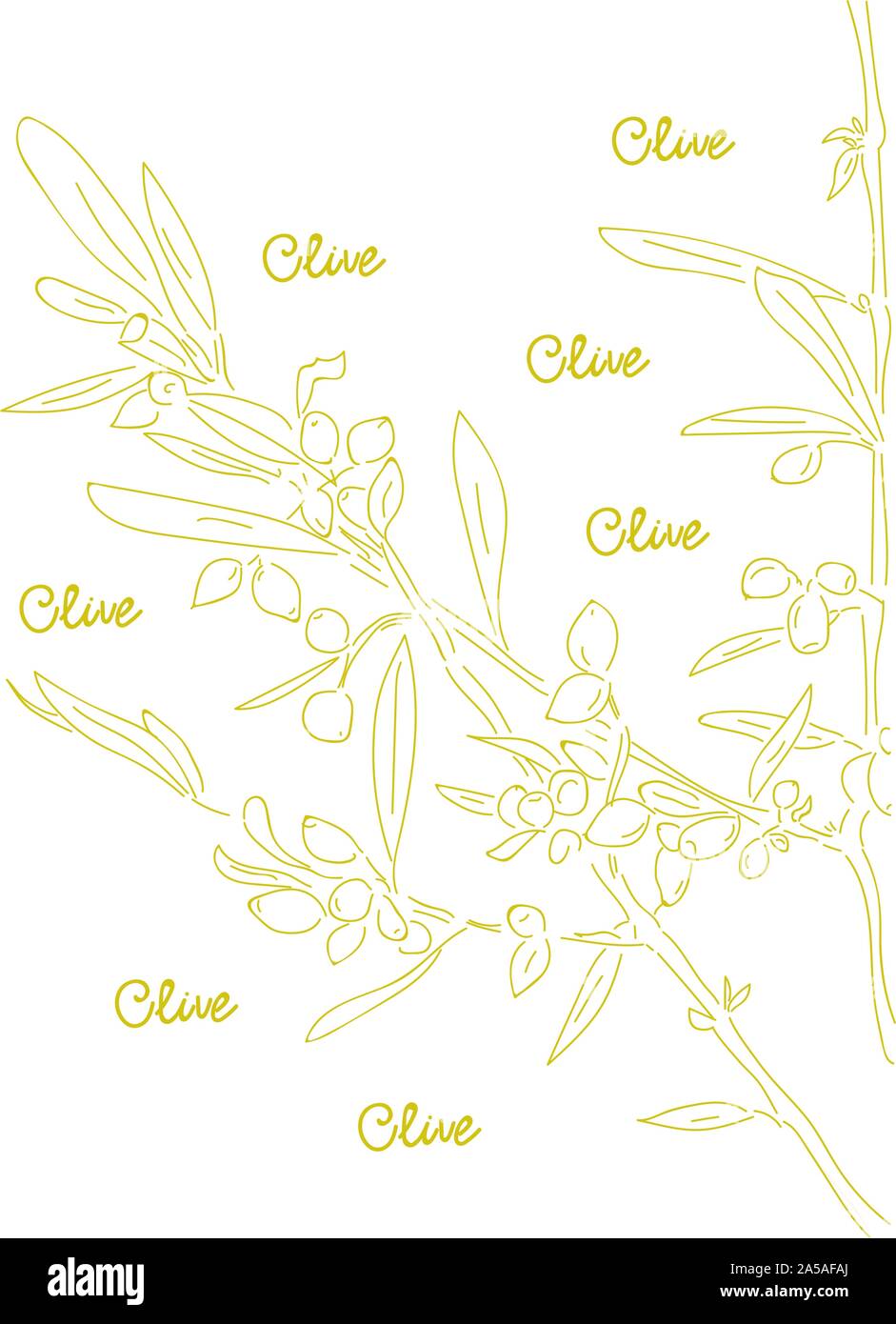 Olive tree branches. Hand drawn olive. Vetor Illustration Stock Vector ...
