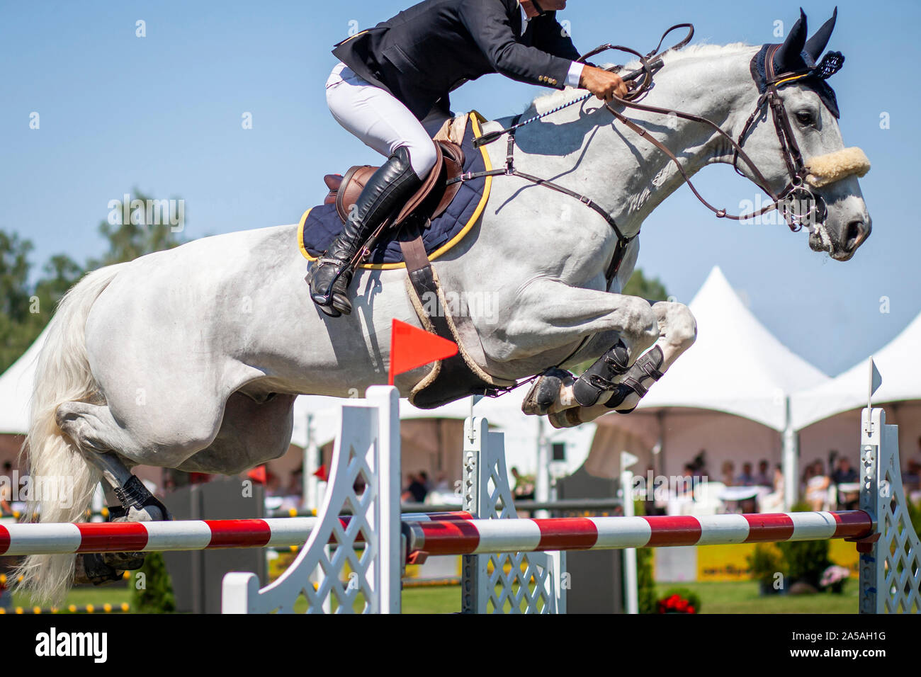 Horse Jumping, Equestrian Sports, Show Jumping Competition themed photo Stock Photo Alamy
