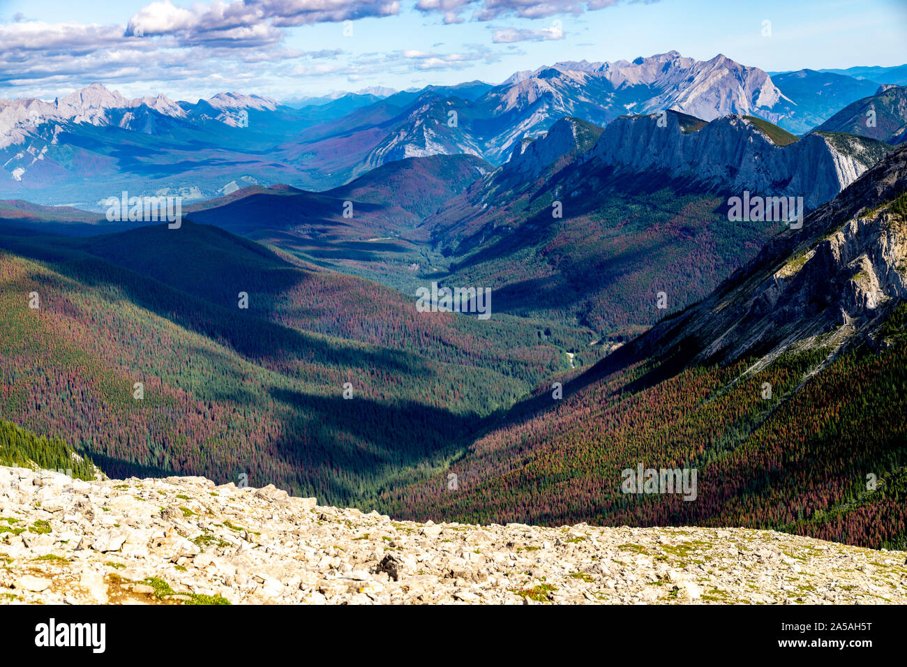 Jasper national park during summer Stock Photo
