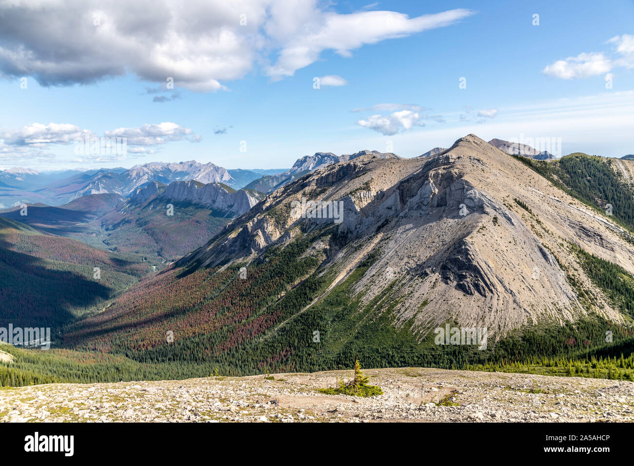 Jasper national park during summer Stock Photo - Alamy