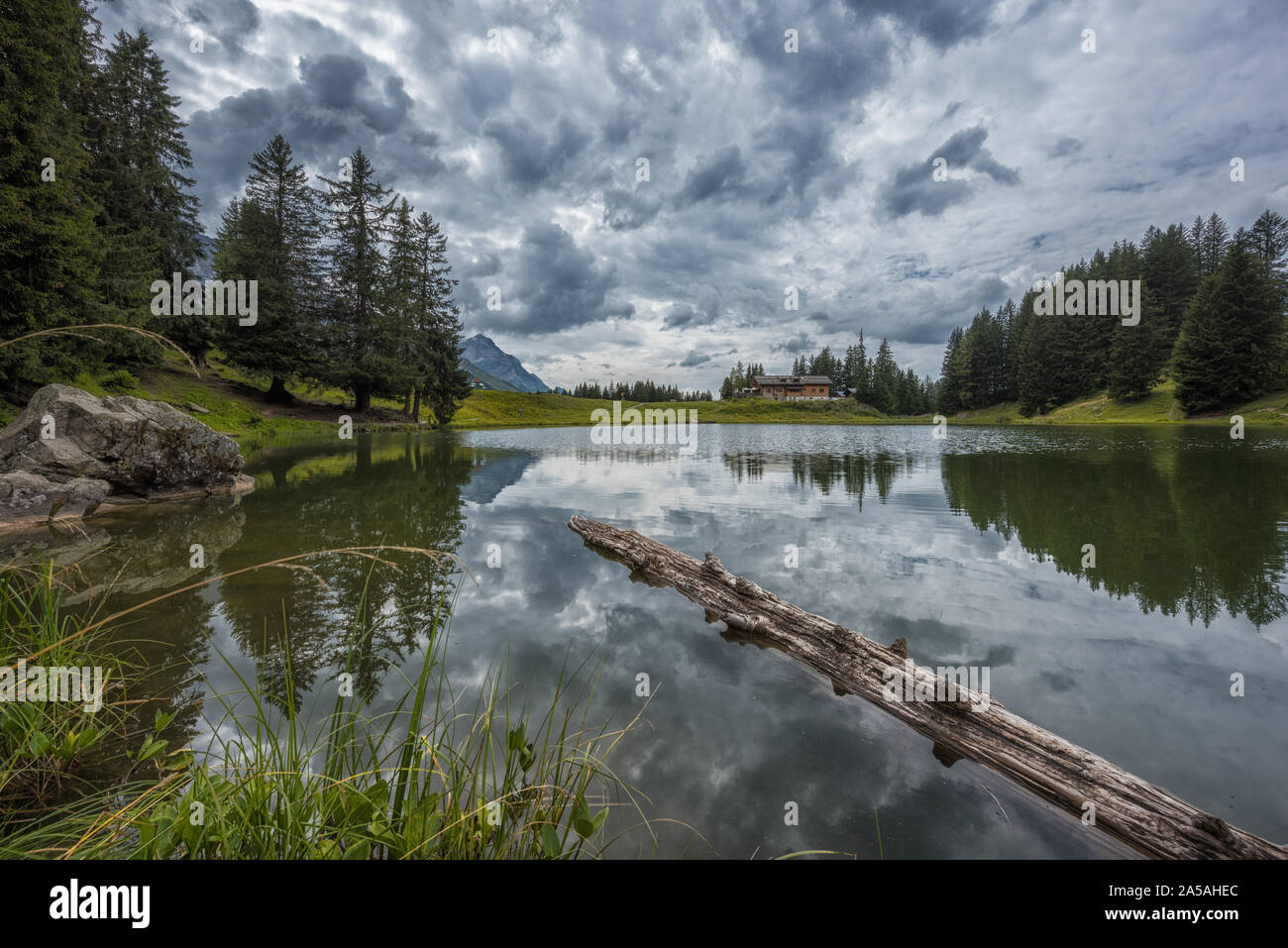 weathered trunk swimming in a mountain lake; clouds and trees reflecting in the water Stock Photo