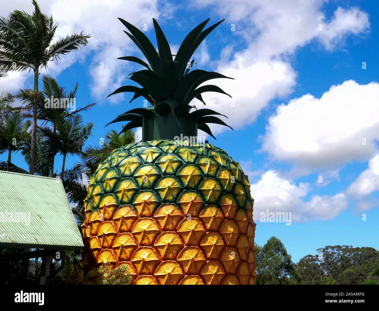 Australia the big pineapple hires stock photography and images Alamy