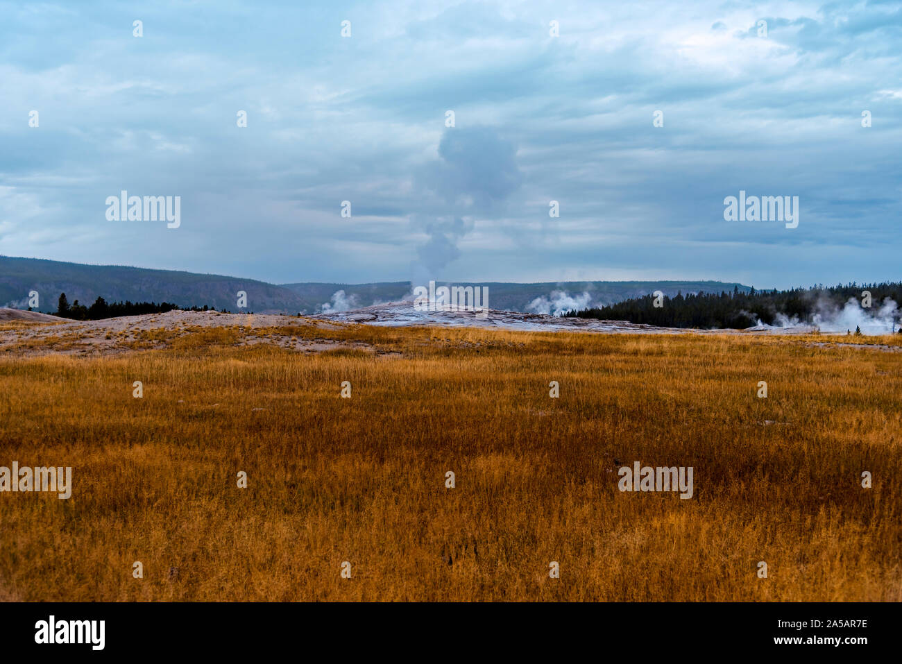Golden brown grass fields with steam rising up off the ground under cloudy skies. Stock Photo