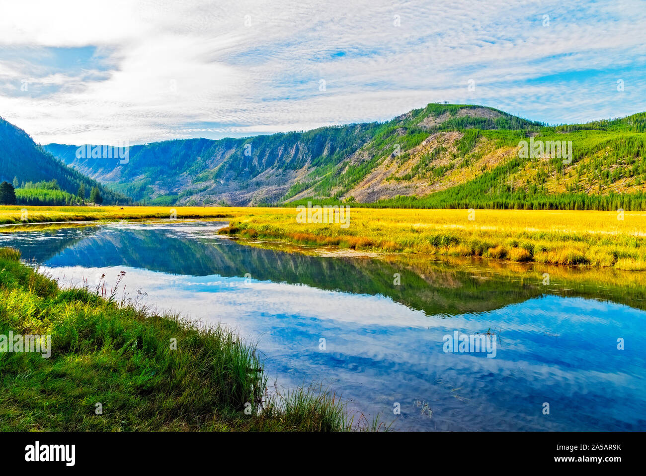 River running through valley of golden yellow grass fields with forest covered mountains under cloudy skies with bright blue. Reflecting water. Stock Photo