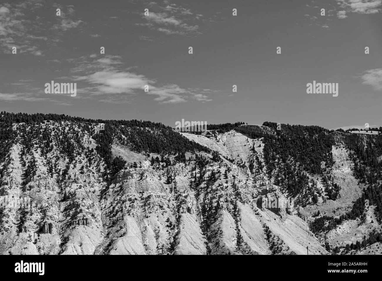 Black and white, mountain top covered in trees. Stock Photo